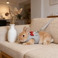 thumbnail image 4 of Rabbit Harness Leash Set, Adjustable Pet Vest with Breathable Mesh, Complete Rabbit Walking Gear for Small Pets Guinea Pigs, Gray, 4 of 6