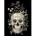 thumbnail image 1 of Qisvanset Skull Botanical Canvas Wall Print 15.75x11.81 Inches, 1 of 8