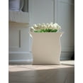 thumbnail image 2 of Rplanteur Blanc, 2 of 4