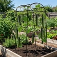 thumbnail image 6 of Garden Arch Trellis for Raised Beds, 6.73 x 2.62 x 2.95 ft U-Shaped Plant Support for Cucumbers, Melons, Grapes, Roses & Climbing Vegetables, Black, 6 of 7