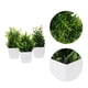 thumbnail image 4 of WORGEOUS 3 piezas pequeñas plantas falsas plantas mini artificiales con plantas Ministerio del hogar Planta Fake en maceta Estilo mixto, 4 of 8