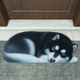 thumbnail image 6 of Aihimol Non Slip Cute Pet Dog Themed Carpet,Welcome Floor Doormat Non Slip Floor Mat Summer Holiday Funny Novelty Door Mats for indoor Outdoor Holiday Decoration 34.25x15.74in, 6 of 7