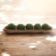 thumbnail image 4 of 18"-21.5" Baguette Dough Bowl Three Colors,  The New Dawn Decorative Wood Bowl, Table Center Piece, Wood Bowl + Moss Balls, 4 of 17