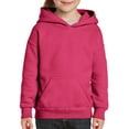 thumbnail image 1 of Heavy Blend Youth Hooded Sweatshirt, XL, Heliconia, 1 of 1