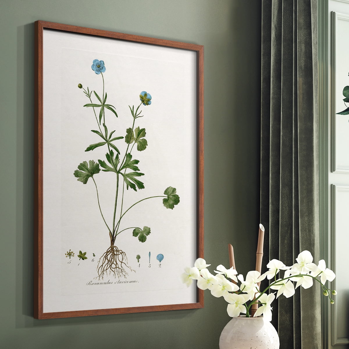 Buttercup Study Framed Print in Brown Solid Wood Framed Print No Nail Hanging