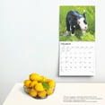 thumbnail image 5 of Piglets 2025 12 X 24 Inch Monthly Square Wall Calendar Plastic-Free, (Paperback), 5 of 9