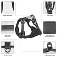 thumbnail image 3 of Naloa Swordsman Cool Dragon Pet Harness Vest with Traction Rope, Adjustable No-Choke Dog Vest for Outdoor, Walking - Large, 3 of 4