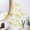 E type 36Pcs, variant on 36/48/120 Pcs 3D Butterfly Unique Wall Decor Set, Hollow-Design Gold Butterflies for Party Decor and Bridal Shower, Creative Butterfly Stickers for Gift Boxes, Flower Arrangements and DIY Home Decor