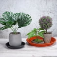 thumbnail image 5 of Unique Bargains Plant Saucers Round Plastic Flower Pot Plant Tray Gray 11.4 Inch, 5 of 5