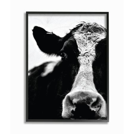 The Stupell Home Decor Collection Cow Black And White ...