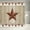1, variant on Rustic Barn Star on Wooden Door Shower Curtain Western Texas Star and Primitive Berries on Country Wooden Plank Bathroom Curtain