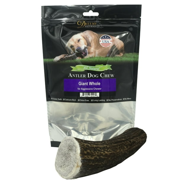 elk antler chews