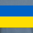 thumbnail image 3 of CafePress - Ukraine Flag T Shirt - Mens Comfort Colors Shirt, 3 of 5