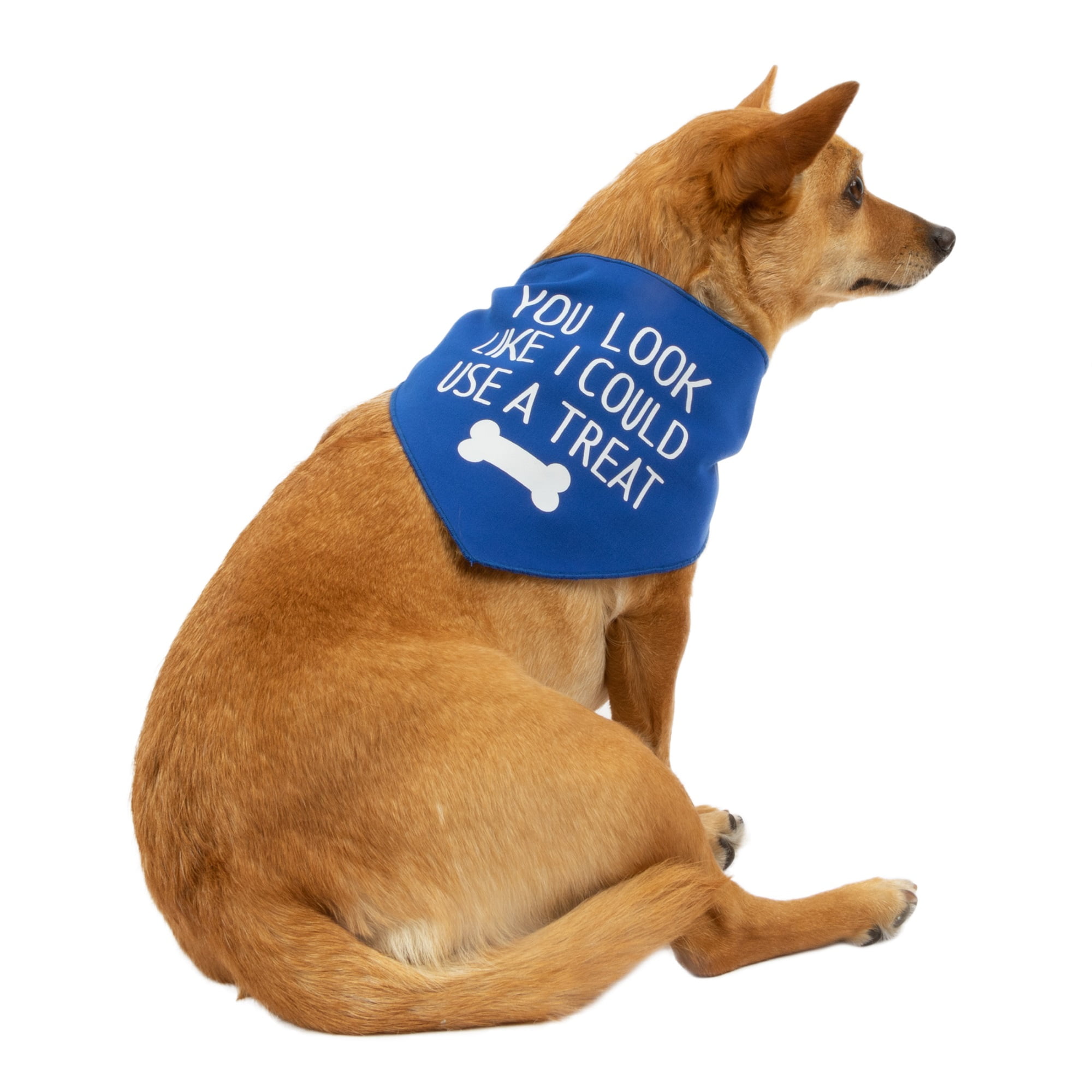 Mini Blue Flowers Dog Bandana Pet Accessories Pet Neckwear Spring Clear Out Sale Cute Pet Clothes Dog Bandana