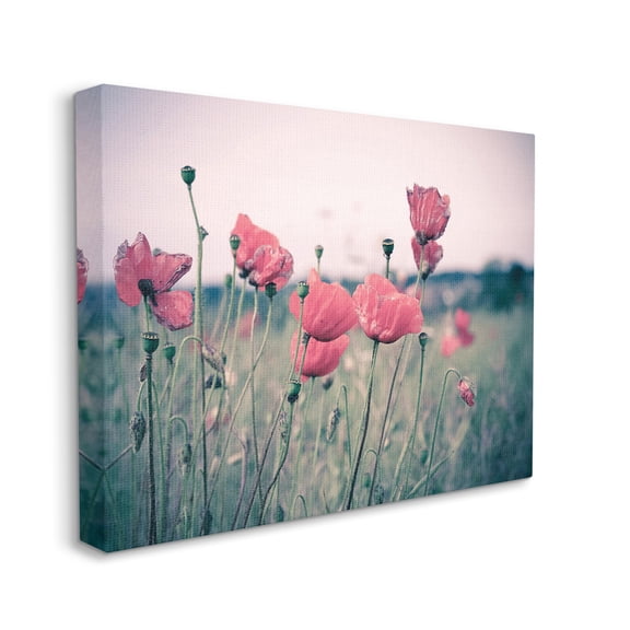 Stupell Industries Autumn Poppy Field Muted Sky Floral Landscape, 16 x 20, Designed by Adelino Goncalves