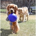 thumbnail image 4 of Jolly Pets 8-Inch Romp-n-Roll, Blue, 4 of 4