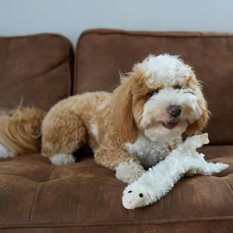 SPOT Skinneeez Crinklers Lamb Dog Toy, 14in Crinkle Dog Toy with