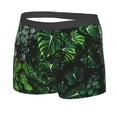 thumbnail image 2 of Disketp Lush Foliage Green Plant Men'S Boxer Briefs,Soft And Breathable Cotton Underwear With Comfortflex Waistband, 2 of 9