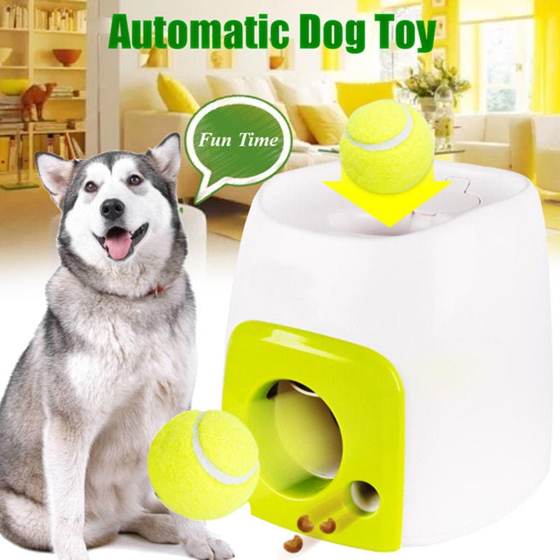 dog toy fetch machine