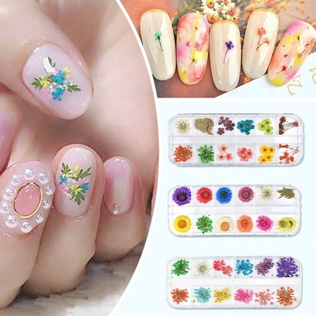 Mixed Dried Flowers 3D Nail Art Decoration Manicure 12 Colors Flower Tips Nail Accessories DIY  Gypsophila