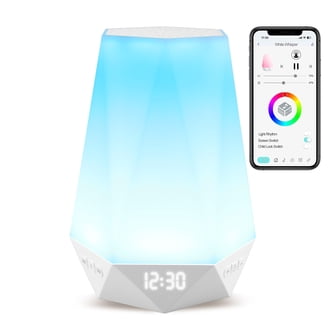LectroFan Micro2 Portable Sleep Sound Machine, Rechargeable Noise