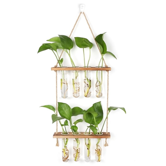 ACDANC Propagation Station with 8 Glass Tubes Wall Hanging Planter Terrarium Plant Propagation Station Planter Terrariums
