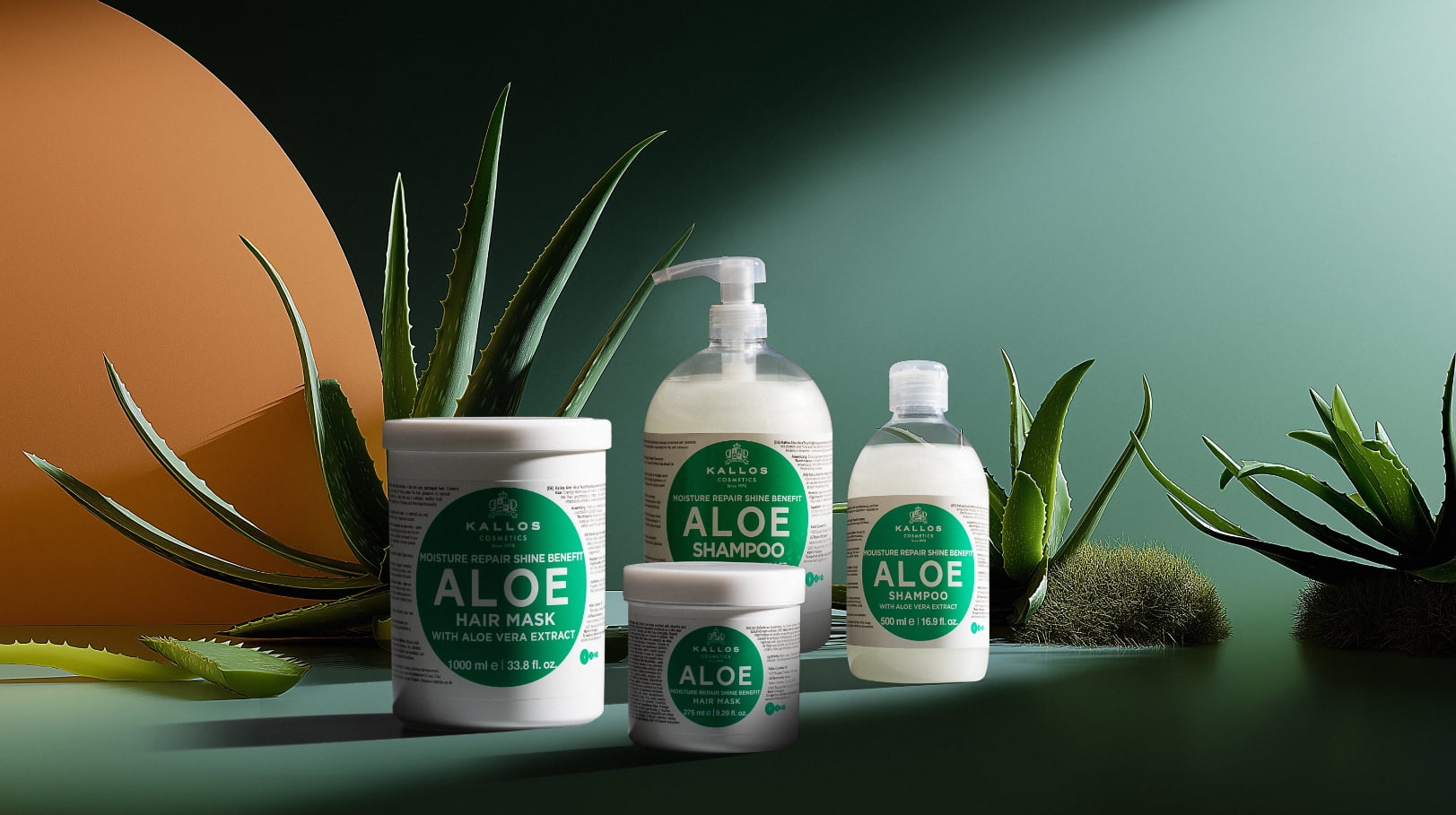 austermann sockenwolle mit aloe vera Austermann Step classic 100g – WUNDERBAR!