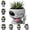 C4-D, variant on Fun Alien-Faced Planter Weird Extraterrestrial Resin Head Flower Pot Small Novelty Cactus Succulent Planter Creative Space UFO Themed Desk Ornament Gift for Alien Fans,C