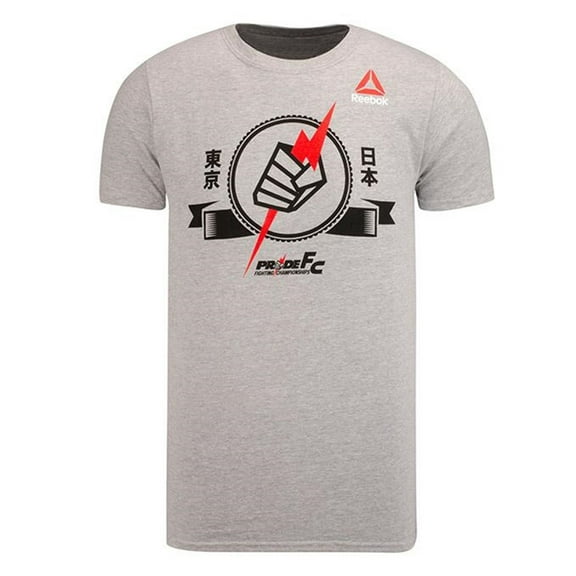 Reebok Mens Pride Fist Bolt Graphic T-Shirt, Grey, Small