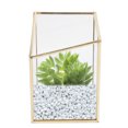 thumbnail image 4 of Glass Planter, Glass Flower Vases, Modern Corrosion Resistance Geometric For Cosmetics Plant, 4 of 8