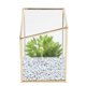 thumbnail image 5 of Floreros De Vidrio, Maceta De Vidrio Moderna Resistente A La Corrosión Multifuncional, Flor De Decoración De Oficina Para Planta De Cosméticos Cergrey Geometric Decorative Holder, 5 of 8