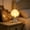 Lumière de Nuit de Lune de led Moins de $5 a2, variante sur Vacemry LED Handheld Moon Veilleuse, Lampe Lune Factice avec Texture de Cratère Réaliste, Décoration d'Ambiance pour Chambre, Chevet, Maison, Salon, Étagère, Bureau