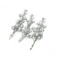 thumbnail image 1 of TIELUTT Christmas Tree Decoration Fruit Christmas Wreath Rattan Christmas Decorations Hanging Beads Hanging for Centerpieces Hanging Beads Decorations Christmas Decorations Indoor, 1 of 6