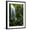 Black Frame, variant on Art.com Mt Hood National Forest, Waterfall, Columbia Gorge Scenic Area, Oregon, USA Photographic Print by Stuart Westmorland, 12" x 16"