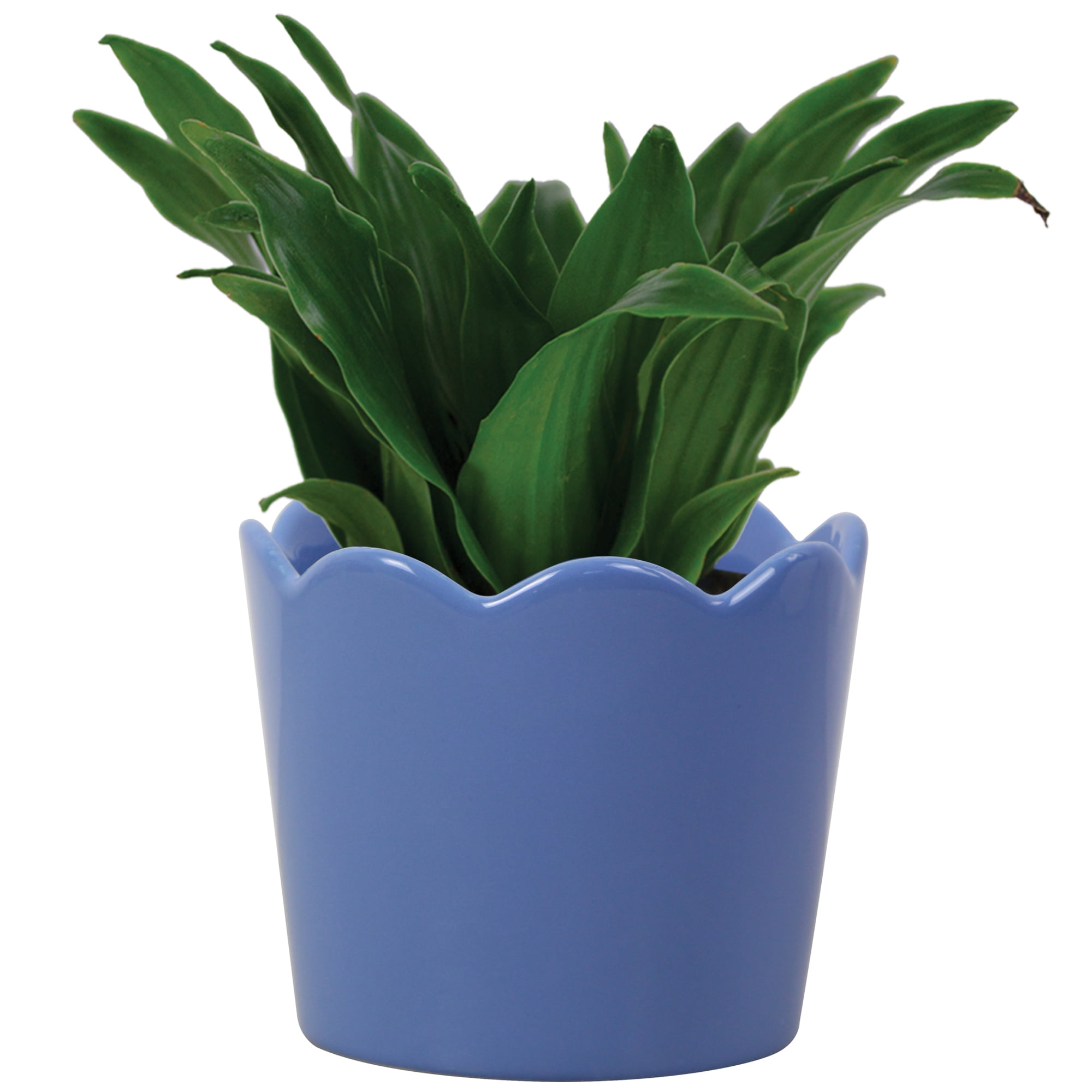Mainstays Small 6in Diameter Round Blue Scallop Ceramic Planter