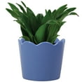 thumbnail image 4 of Mainstays 6in Scallop Blue Round Ceramic Planter, 4 of 5