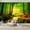Color 2, variant on Wallpaper Green Forest Flowing Waterfalls Sunlight Vintage Peel and Stick Wall Murals 100"H x 144"W Removable PVC Wall Paper Self-Adhesive Wall Paintings Art Decor for Bedroom Living Room