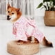 thumbnail image 1 of Clothes For Dog Cats Pet Summer Japanese Dog Clothes Kimono French Bulldog Corgi Chihuahua Shiba Inu Puppy Suit For Dogs ShopWise Round, 1 of 10