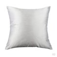 thumbnail image 1 of Funda de Almohada de Felpa Suave Sunnimix 2pcs Cuadrado 60x60cm Seda, 1 of 8