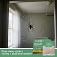 thumbnail image 6 of Spider Repellent Sachets for Indoor and Outdoor Use Natural Formula for Home Garden and Enclosed Spaces Protection Pack, 6 of 7