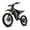 Black, variant on BIGNIU BG-S PRO Electric Bike for Adults 740W Motor 60V 32AH E-Mountain Bike UL2849
