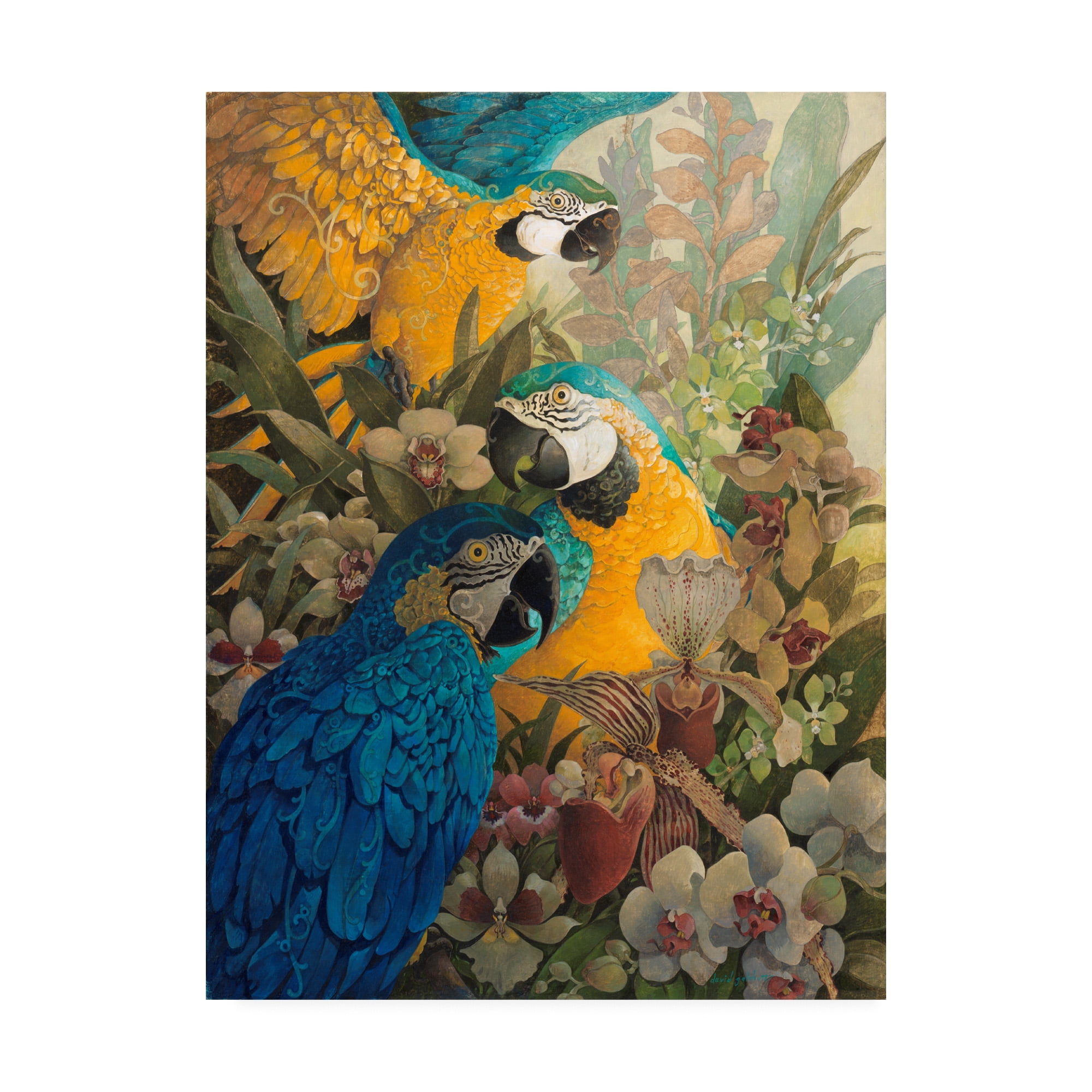 Trademark Fine Art 'Amazon' Canvas Art by David Galchutt
