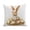 A, variant on Easter Decorations Pillow Covers 18x18, Soft Decorative Throw Pillow Covers, Spring Decor for Living Room Bedroom Sofa Cushion Cover, White