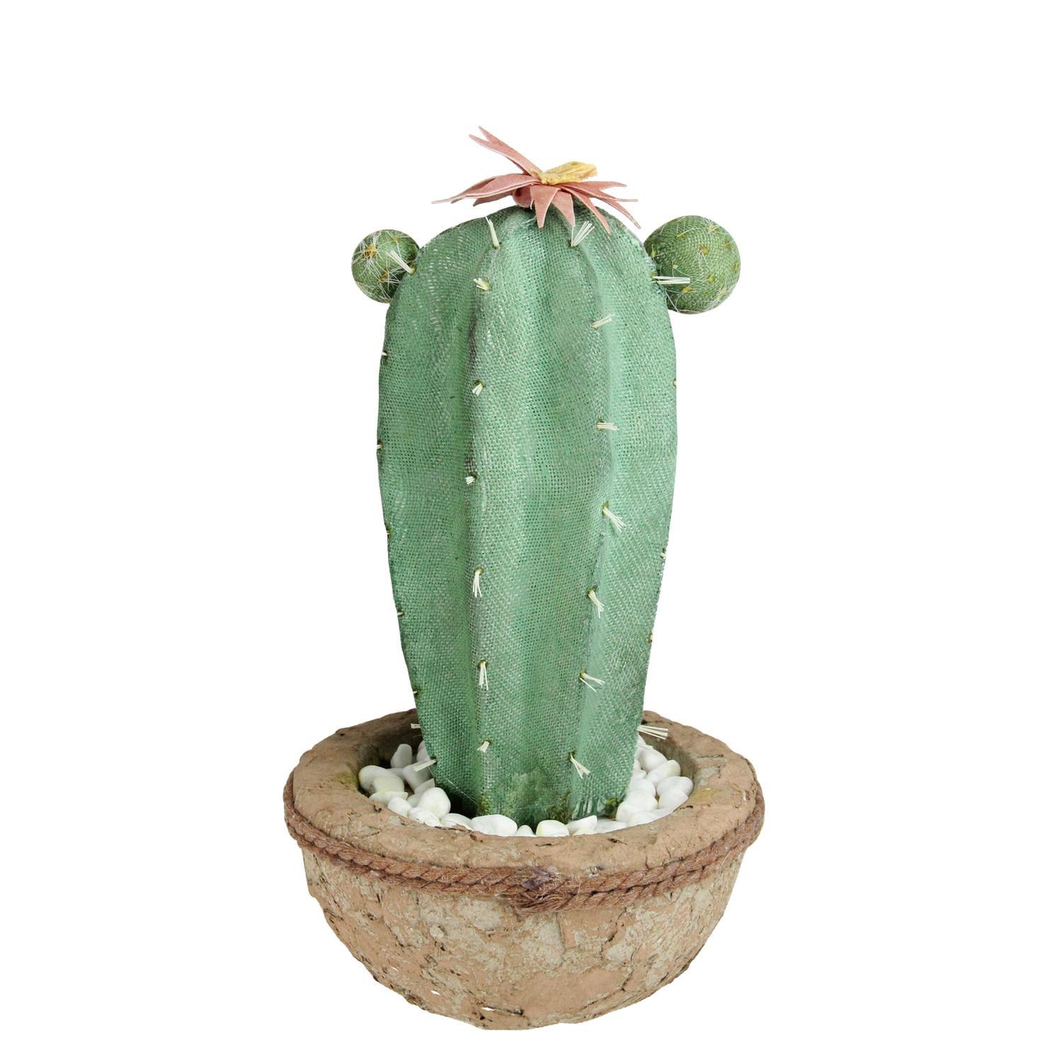 13.75" Green and Brown Southwestern Style Potted Artificial Cactus with