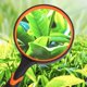 thumbnail image 5 of une Loupe Orange Noire 7x, Loupe Pour Enfants Loupe De Lecture Portative Lentille Grossissante De 75 Mm Avec Poigne En Caoutchouc Souple Antidrap, 5 of 5