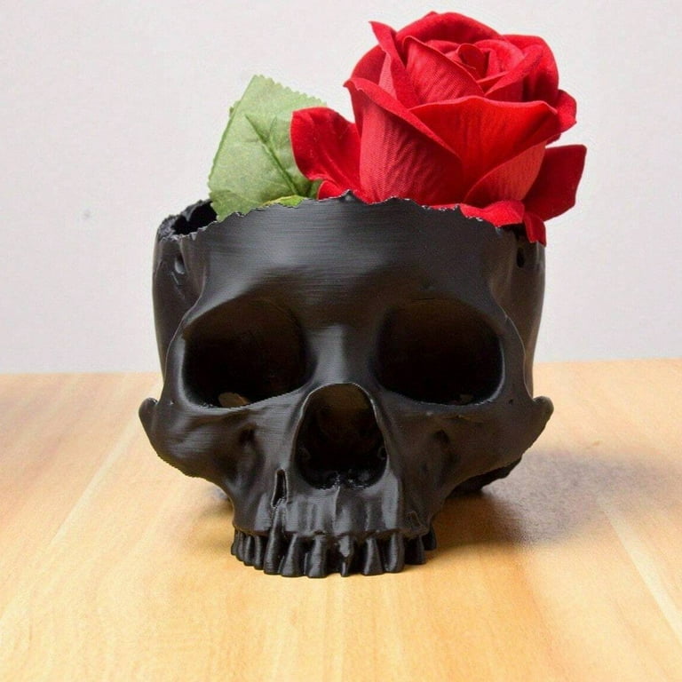 Hanging Skull Planter Pot Halloween Gothic Skeleton Pot for Succulent  Plants Flowers Horror Head Wall Decoration - Walmart.com