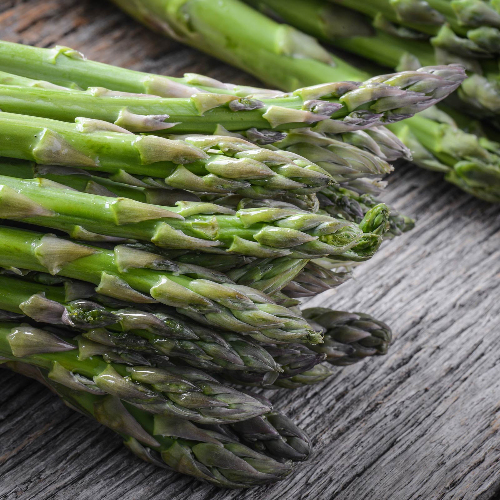 UC 157 F2 Asparagus Garden Seeds 1 Lb Bulk NonGMO, Hybrid