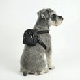 thumbnail image 4 of Arnes con mochila y correa Infanti Pets para mascota chica-mediana, 4 of 5