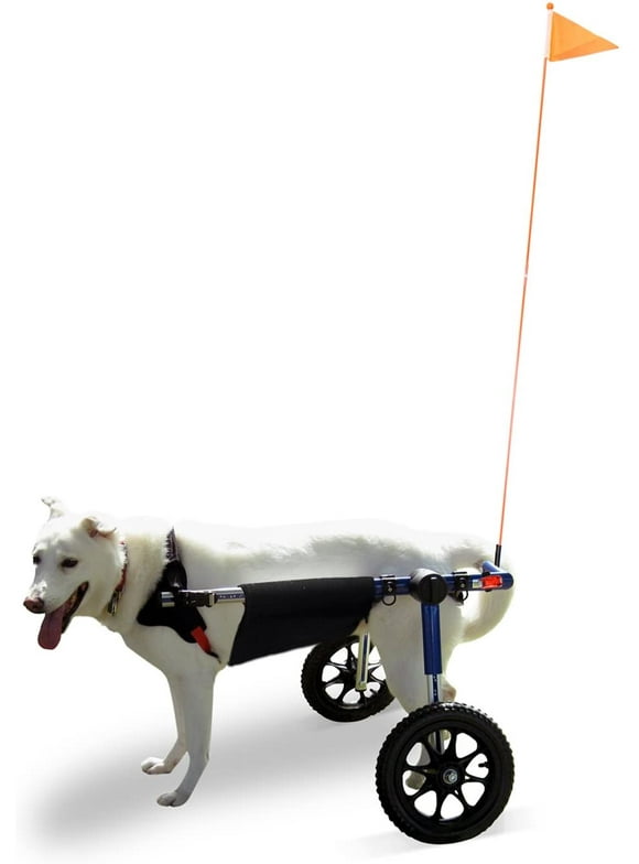 How Much Is A Dog Wheelchair