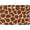 Giraffe Texture, variant on Zebra Print Doormat Front Door Rug, 24"X16" Absorbent Machine Washable Inside Door Mat, Non Slip Low-Profile Entrance Rug for Entry, Back Door